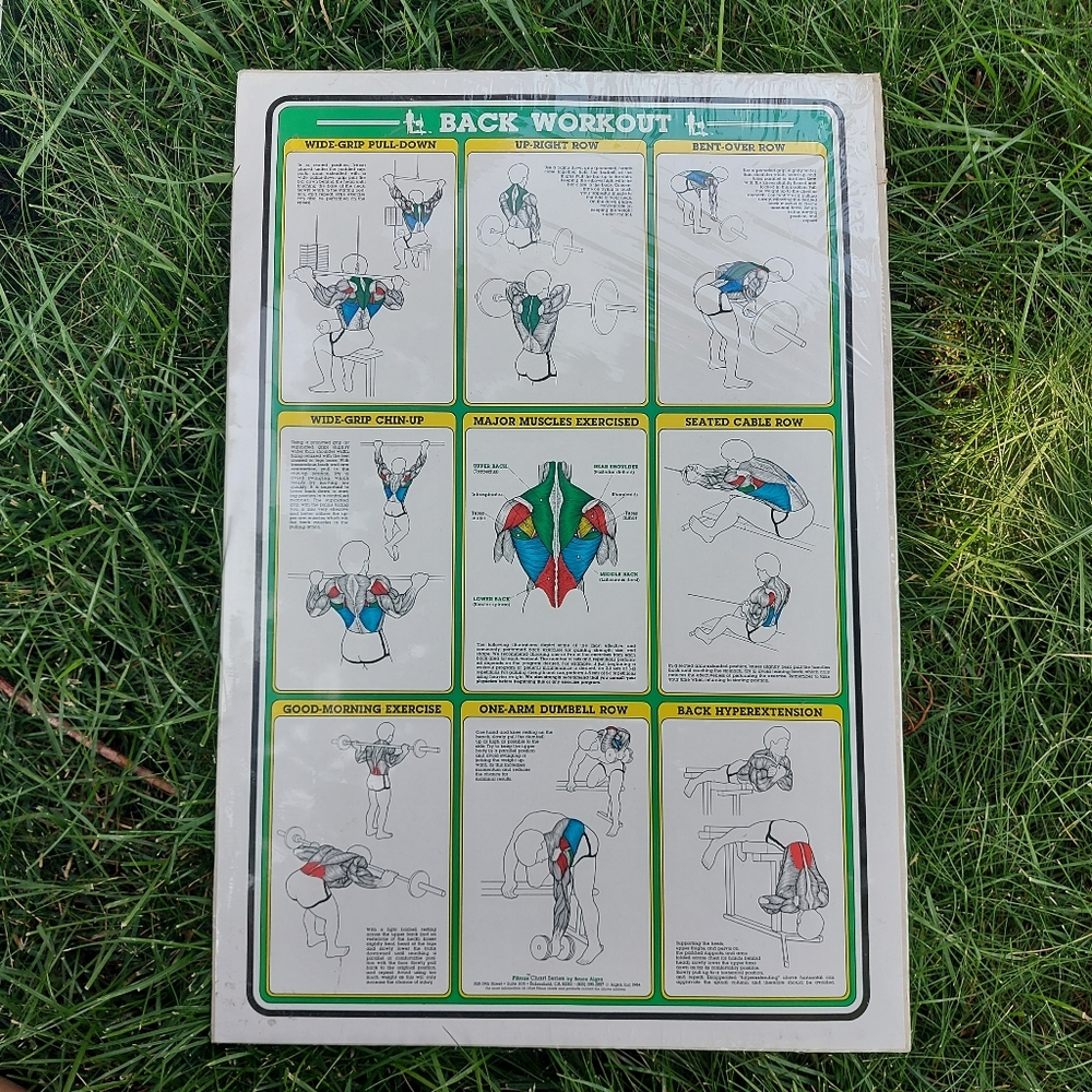 1984 Vintage Bruce Algra Back Workout Fitness Chart Series  - 16" × 11"